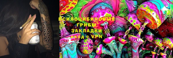 шишки Россошь