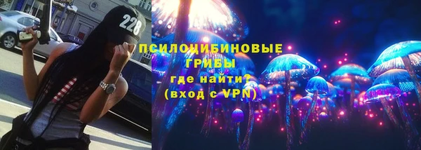 шишки Россошь